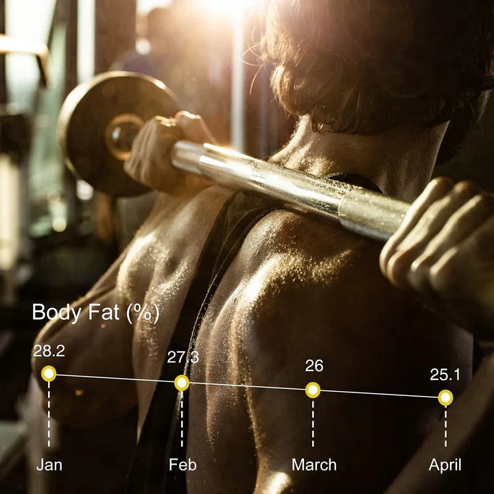 Sonifer Smart Body Fat Scale – LED & App