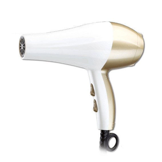 Kemei KM-810 High Power Ionic Hair Dryer