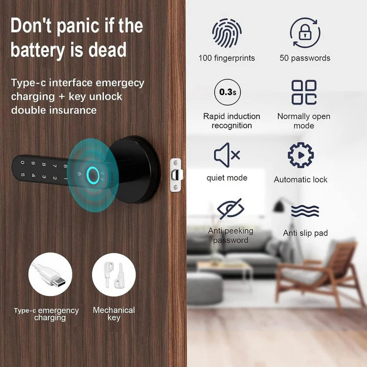 Fingerprint door lock, with password keyboard entry door handle