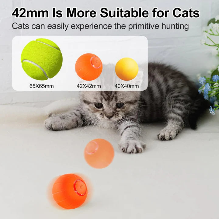 Small Bouncing Ball For Pets Gadget Play
