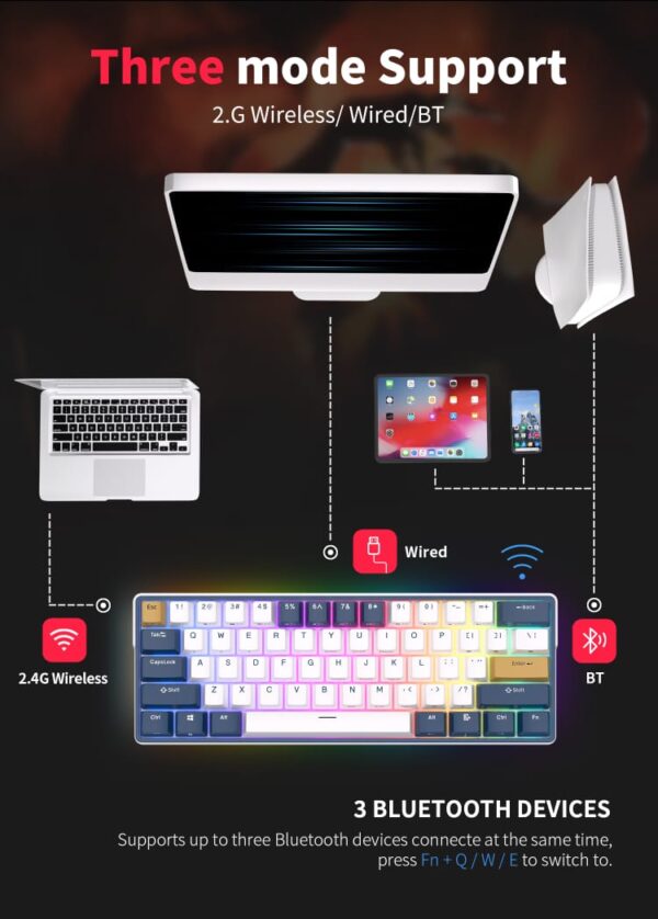 RK61 Plus ROYAL KLUDGE  Tri-mode Connectivity Mechanical Keyboard 2.4G Wireless Bluetooth RGB Backlit 61 Programmable Keys 60% Layout , Hot-swappable Blue Switch , Klein Hub Design - English/Arabic - Image 6